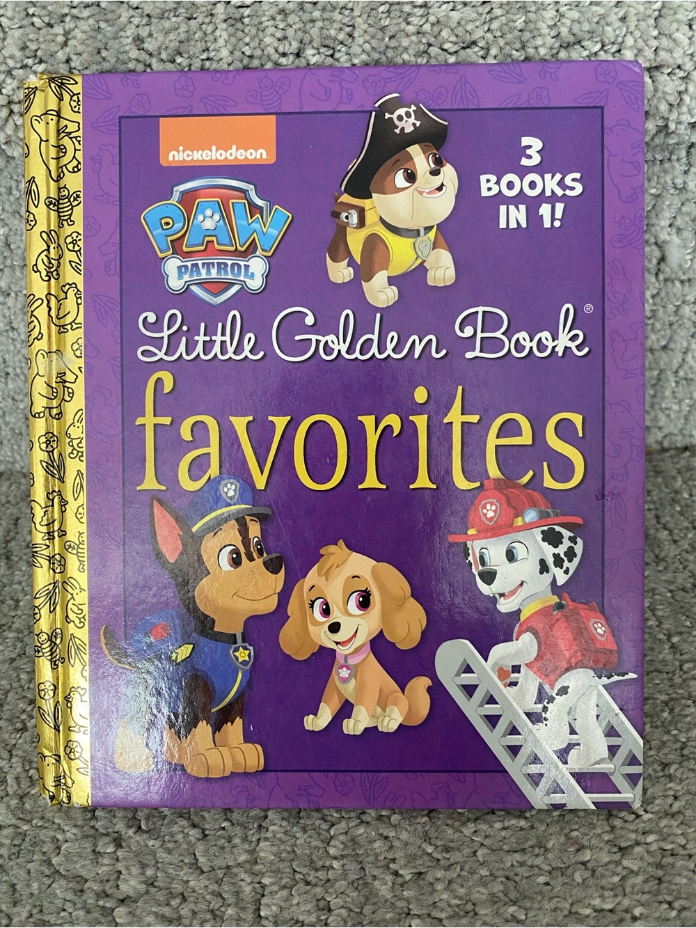 Paw Patrol books